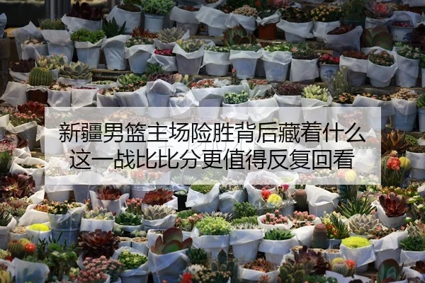 新疆男篮主场险胜背后藏着什么 这一战比比分更值得反复回看