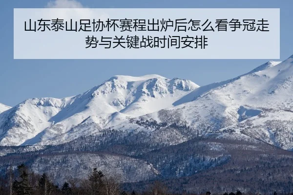 shan-dong-tai-shan-zu-xie-bei-sai-cheng-chu-lu-hou-zen-me-kan-zheng-guan-zou-shi-yu-guan-jian-zhan-shi-jian-an-pai-2-887.jpg